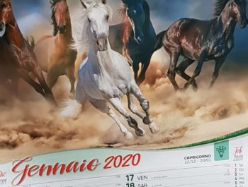 Calendari 2020